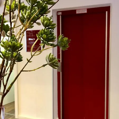 Hotel Montana Koeln-bonn Airport