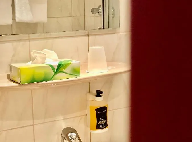 Montana Koeln-bonn Airport Hotel 3*