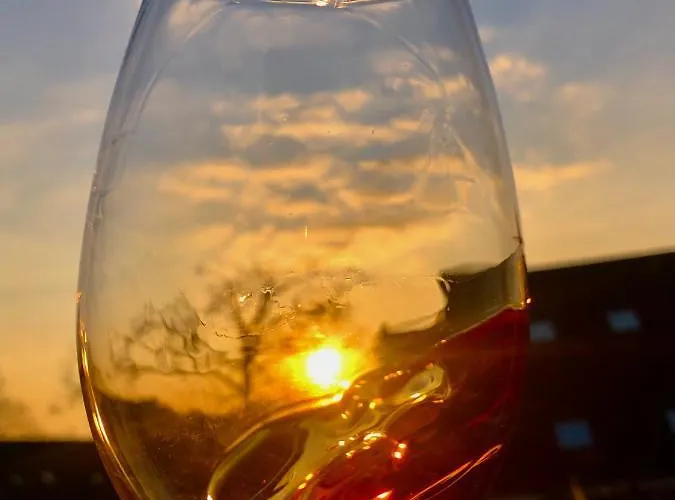 科隆-波恩机场蒙大拿酒店 特罗斯多夫