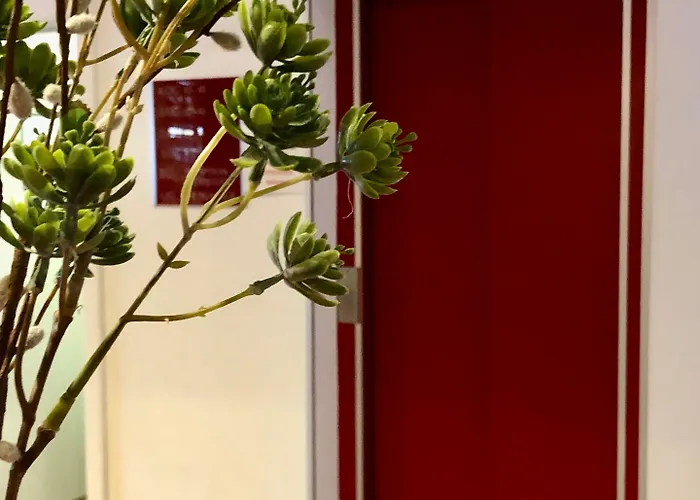 Montana Koeln-bonn Airport 3* Troisdorf