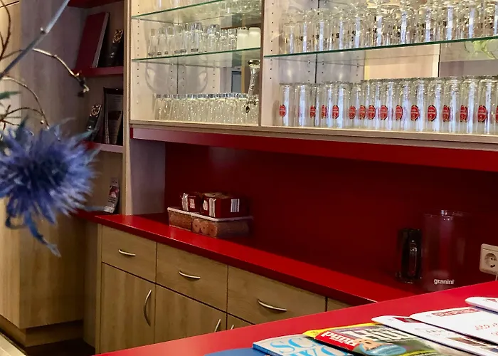 科隆-波恩机场蒙大拿酒店 3* 特罗斯多夫