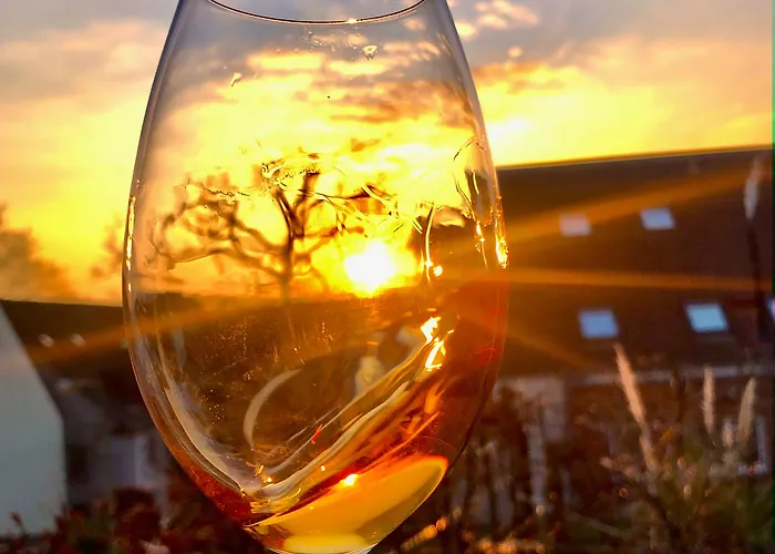 科隆-波恩机场蒙大拿酒店