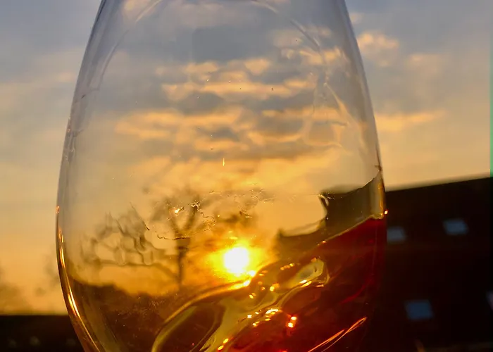 科隆-波恩机场蒙大拿酒店 特罗斯多夫