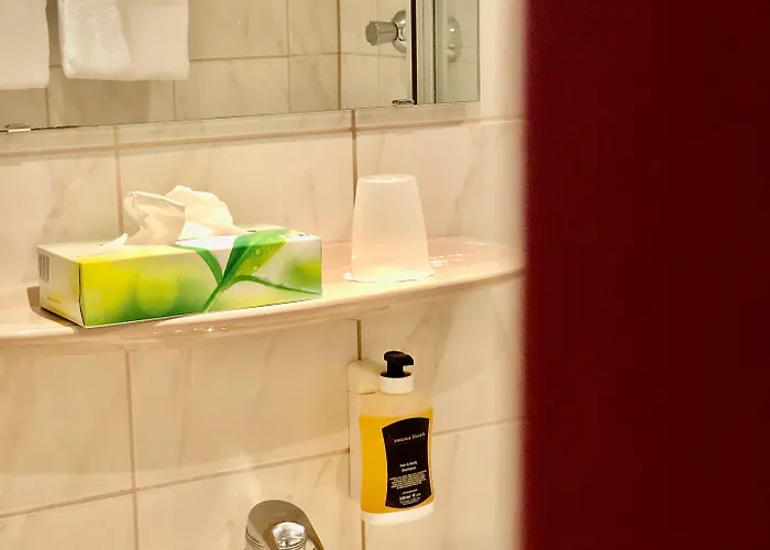 Hotel Montana Koeln-bonn Airport 3*